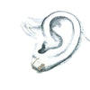 silver huggie hoops